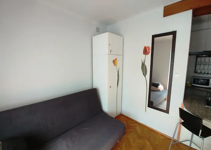 Apartment Narutowicza