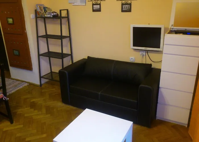 Narutowicza Apartment *