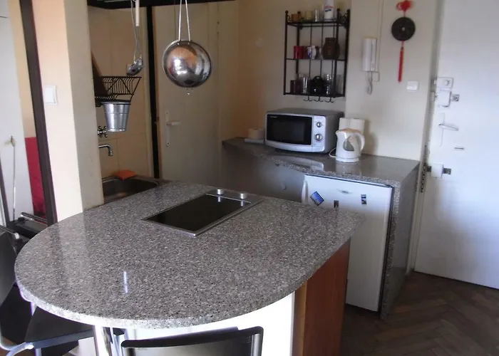 Narutowicza Apartment *