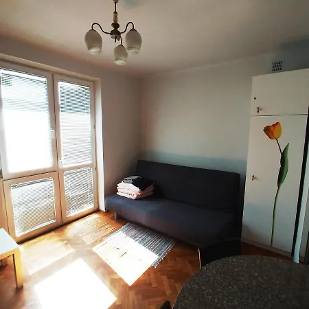 纳鲁托维卡一室公寓