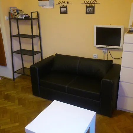 Narutowicza Apartment *